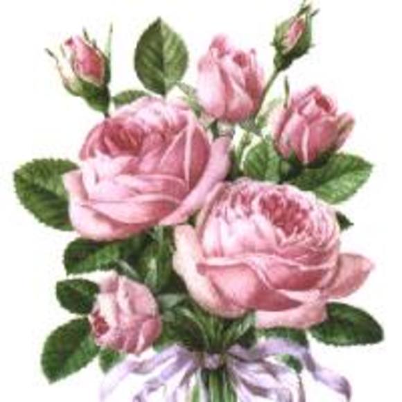 cathi33rose